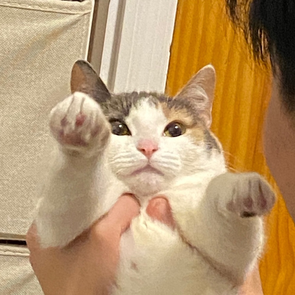 Meet your Posher, Kelly